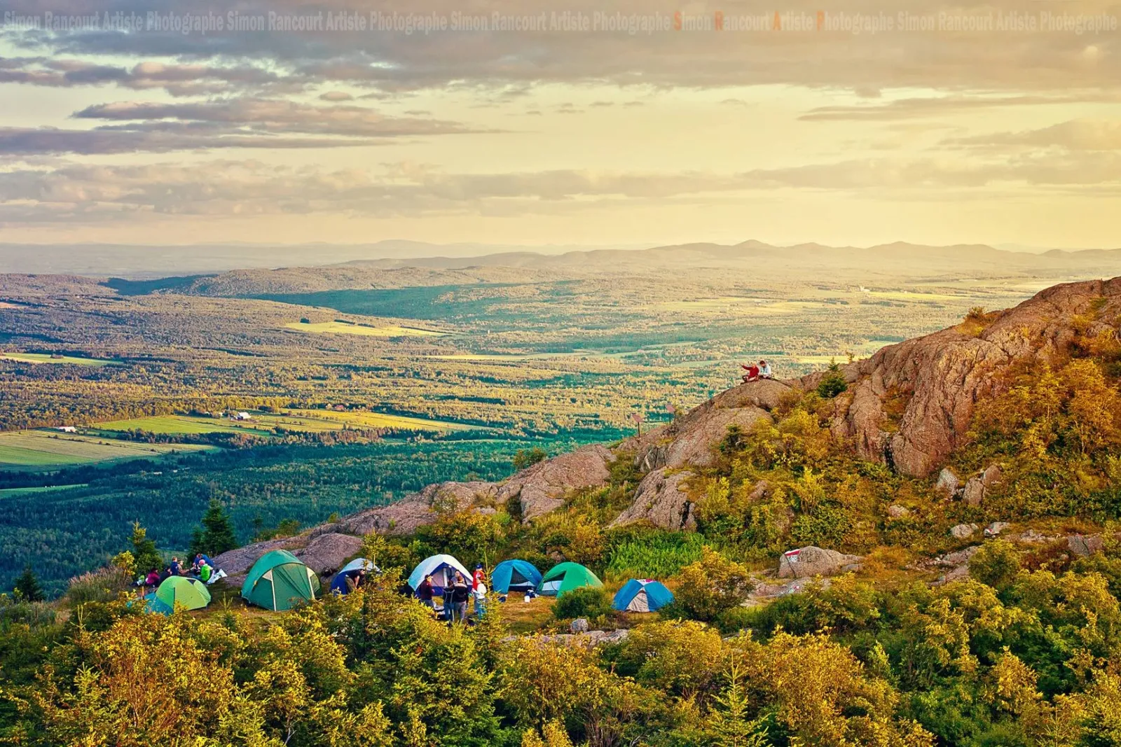 mont ham